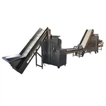 Sarımsak Soyma Üretim Hattı