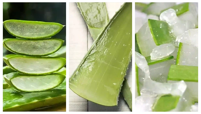 Aloe Vera Machine Aloe Vera Machine